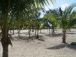 Belize tropical images
